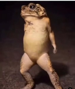 Ma structure akadai anogadzirika hawo The 4th Edition of the Musabvunda Biggest Loser/Gainer REGISTRATION CLOSES TODAY AT 2PM! Register online: https://go.tango.co.zw/qvasda Physically: • Harare The legacy mall shop C9 along Livingstone between 2nd and 3rd • ⁠Bulawayo Amaya mall shop 13 Cnr 8th and Jason Moyo Registration fee • $ 40 new registrants • ⁠$30 returnees from Biggest loser 2025 • ⁠$25 VIP platinum members • ⁠$20 VIP platinum members returnees from Biggest Loser 2025 Musabvunda fitness