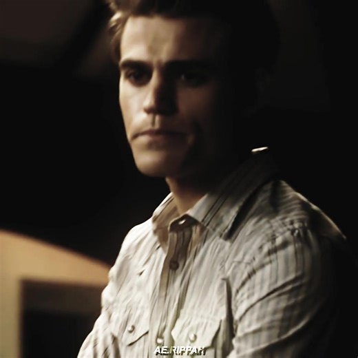 The Vampire Diaries Characters Analysis: Stefan and Damon