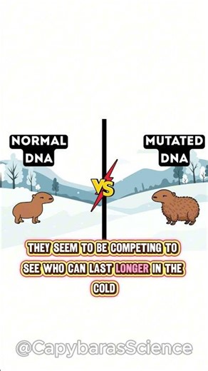 Good Mutations: How Nature Improves Itself 🧬🐾