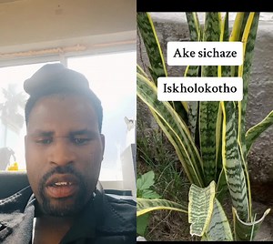 Discover the Rich Tradition of Sichaza Imithi Yesintu in Bhukula