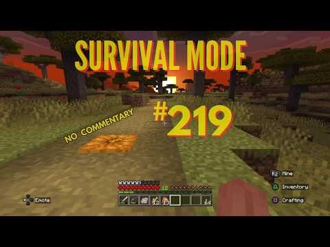 Minecraft Survival Mode Episode 219 No Commentary