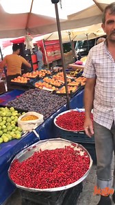 184K views · 676 reactions | Asfalt tozu görmemiş Karadere kızılcığı her derde deva olduğu söylenir  | Tokat Haber Merkezi | Facebook