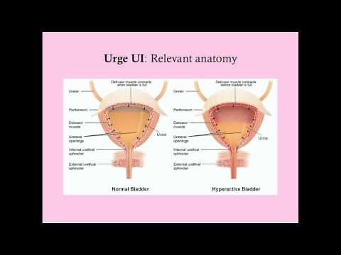 Urge Urinary Incontinence - CRASH! Medical Review Series