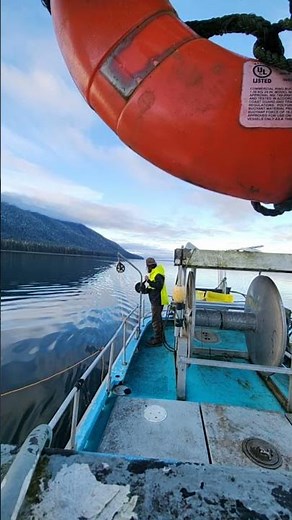 Epic Fishing in Alaska! Winter King Salmon Hand Trolling with Chris on F/V Nancy! Winter 2025!