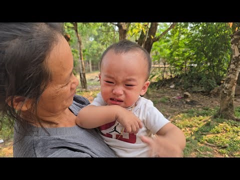 Mus thauj nyuj los yuav ua kev zoo siab tau tsheb tshiab 4 ເມສາ 2026