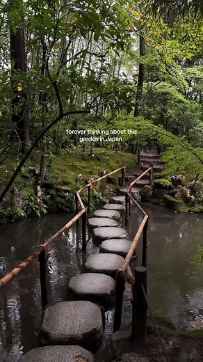 Neish Nyenbrink on TikTok