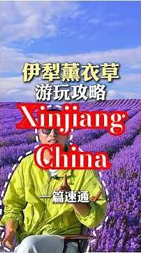 A comprehensive guide to lavender fields in Yili: Thousands of acres of lavender are in full bloo...