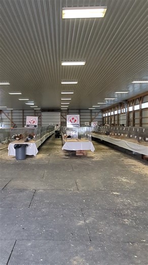 ONTARIO POULTRY BREEDERS 2025 | M&M Exhibition Poultry