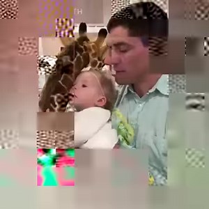 78K views · 237 reactions | Los bebés y sus padres se divierten así. ❤ | Neptuno | Facebook