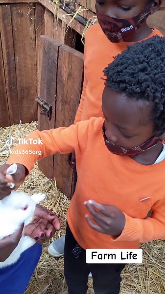 Your kids will never forget this amazing experience 🐇🥕🍠🐎🐐🐑🌿 This is Mlango Farm near Tigoni-Limuru in Kenya. For more information visit www.kids365.org For more child friendly things to do, join our WhatsApp Channel via the link in our Bio or WhatsApp 0717 365365 #farm #farmlife #kids #tembeakenya #magicalkenya Kenya Hidden Gems kids