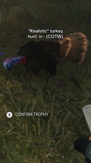 Follow for more! #hunting #turkey #cotw | turkey animal