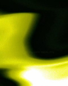 Shop the FLANNELS sale with up to 50% off selected lines across fashion and beauty 🛍️ Shop now: https://bit.ly/3jDBmYk #Sale | FLANNELS