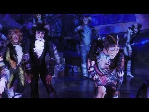 CATS returns to Theatre Royal Sydney for 40th Australian Anniversary