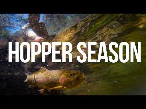 Hopper Session in Stunning Victorian Trout Streams | Australian High Country Fly Fishing in December