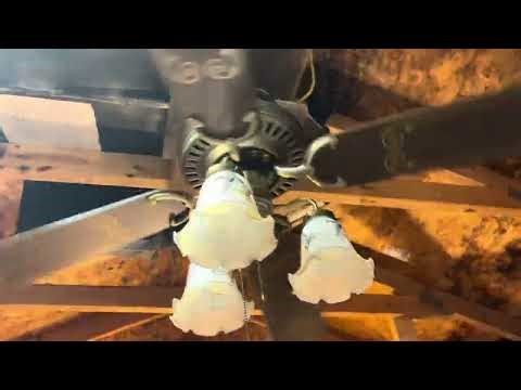 52” Lasko Ceiling Fan