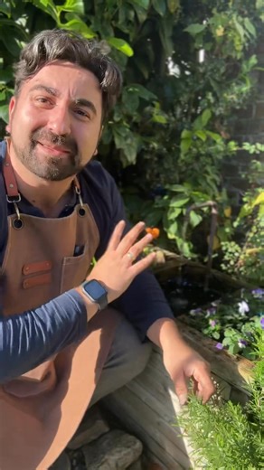 26K views · 390 reactions | Create bursts of colour even in winter time with a selection of winter annuals. My top 3 plants for this are Primrose, Winter Pansies and Violas - they’re inexpensive and add much needed colour on dull winter days. My gardening tips for beginner gardeners will show you how simple it is to plant up your pots, borders and planters with winter flowers #gardeningtips #gardeningforbeginners #planttips #flowers #plantcare | Gardening with Ish | Facebook