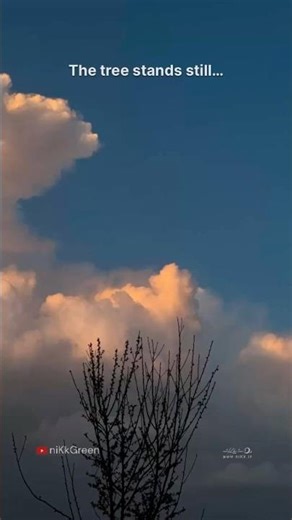 Golden Clouds Drifting | #natureshorts #sunset #peacefulmoments #skylove #skywatching