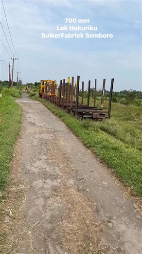 8.5K views · 109 reactions | Java sugarcane | Nurrohman | Facebook