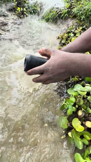 jbl flip 2 with water drop test