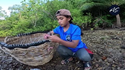 Massive Barracuda Caught on a Longline—What a Fight!