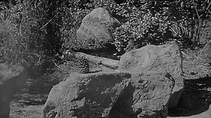 Cheyenne S04E01 - Blind Spot (1959)