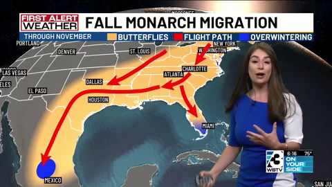 Fall-like weather ahead for Carolinas