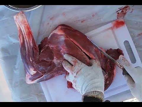 Process and cut up front shoulder FAST