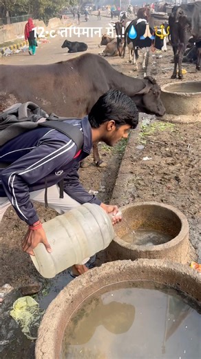 Gau mata..!🙏🏻❣️ #youtubeshorts #trending #ytshorts #facts #gaumata #viralshorts #like #help #vlog