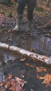 9.8K views · 36 reactions | Birch Bark - one of the best tinders in the woods | Catherine Bates | Facebook