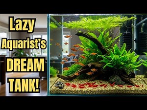 The Lazy Aquarist’s Dream Tank: Low-Maintenance Aquarium Setup Guide