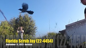 1.8K views · 294 reactions | We are so excited to report the...