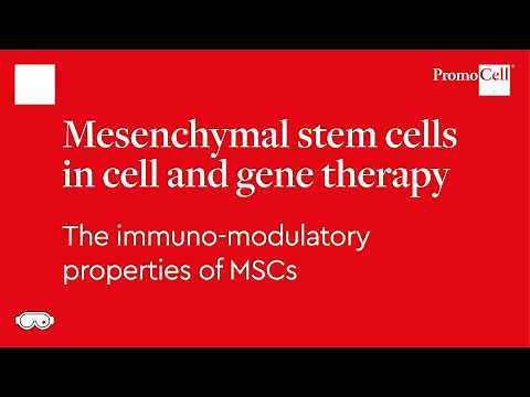 Mesenchymal stem cells in cell and gene therapy – the immunomodulatory properties of MSCs