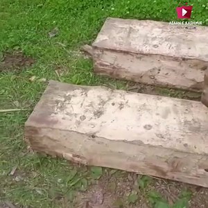 14 reactions | Peer panchal division raithan range block palmaidan compart no 21 Forest Department Has Seized 25ft Wood with horse And Take Action Aganist This Under FIR NO 67/2023 | Azaan e Kashmir | Facebook