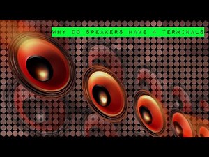 Why Do Speakers Have 4 Terminals ?