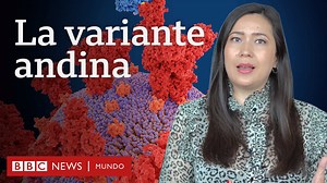 523K views · 15K reactions | La OMS ha incluido a la variante andina o lambda en la lista de variantes de interés. Esta variante presenta mutaciones en la proteína de espiga que es la que usa el virus para entrar a las células humanas. Pero ¿qué significa eso? Te lo contamos en este video. | BBC News Mundo | Facebook