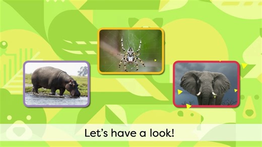 2025春外研版新交际一下动画视频-P18 Let's explore！