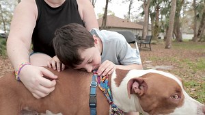 3.6K views · 512 reactions | BluePearl offers 24/7 walk-in veterinary emergency care with experienced doctors, advanced equipment, + CareCredit financing. | BluePearl Pet Hospital | Facebook