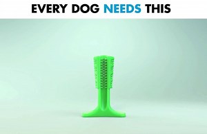 75 reactions · 36 shares | First ever “DIY” revolutionary toothbrush for dogs  ✔ safe ✔ easy-to-use ✔ dog-centric design | Bristly Brushing Stick | Facebook
