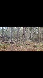 45K views · 693 reactions | The graves of the unseen. | Colorado Bigfoot | Facebook