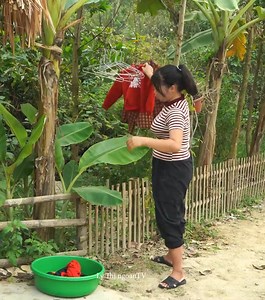 #728 Anna's special gift, 30% completed new home for, chickens, ducks, livers, geese | Akiyah8