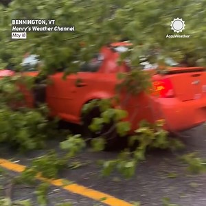 After lightning struck, the tree fell. Then came the car. | AccuWeather