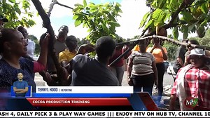As part of efforts to enhance cocoa production and maximise the benefits for local farmers and chocolate producers, a comprehensive five-day training workshop was held in Grenada, focusing on improving skills and techniques in the cocoa industry. | MTV News GD | Facebook