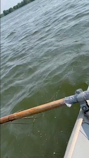 We’re on a Row Boat! Stony Creek Metropark, MI 2023 #rowboat #boating #fishing #boat #lake #river