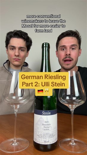 We’re continuing our German Riesling series with a producer who’s influence cannot be understated in the Mosel region. These are the wines of Ulli Stein, and he helped save the historic region from ruin a few decades ago. Now, Ulli is widley know to be one of the premier wine makers in the Mosel. This is his entry level Trocken cuvée that comes in around $25, some of the best value wine on the market in our opinion. Let’s see what we think 🤔🇩🇪🥂#wine #naturalwine #naturalwinetok #winetok #rie