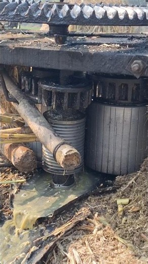 Wow! Amazing Extracting Sugarcane Juice by Old Machine #extracting_sugarcane_juice #sugarcanejuice