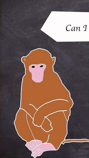 The Pit of Despair experiment: Depression in monkeys and men | Harry Harlow | #history #experiment