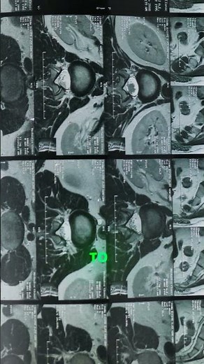 How to Effectively Organize Your Literature Review | Step-by-Step Guide for Researchers