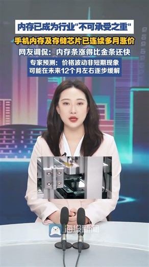 "Memory modules are rising faster than gold bars," mobile phone memory and chip prices have been ...