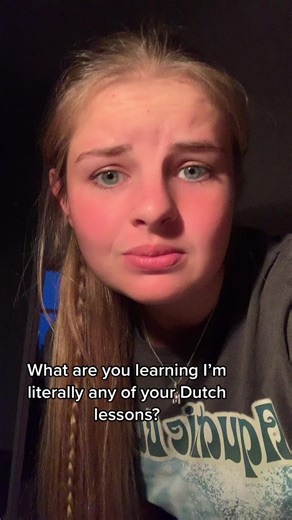 Engaging Dutch Lessons for All Levels