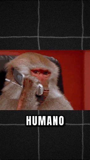 The monkey raised as a human #curiosities #science #facts #history #shorts